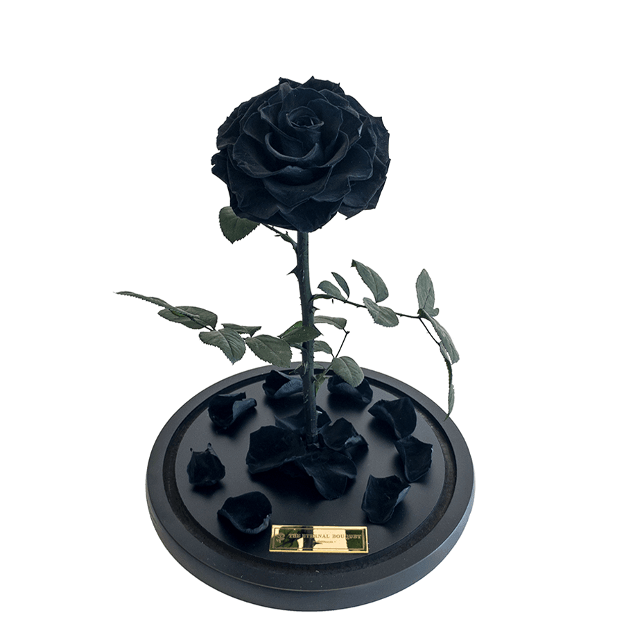 The Enchanted Rose - Black
