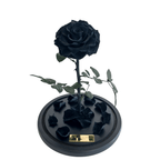 The Enchanted Rose - Black