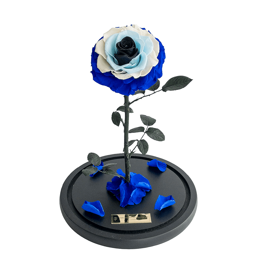 The Enchanted Rose - Evil Eye