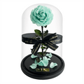 The Enchanted Rose - Mint
