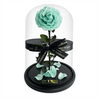 The Enchanted Rose - Mint