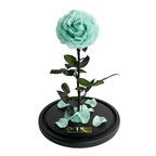 The Enchanted Rose - Mint