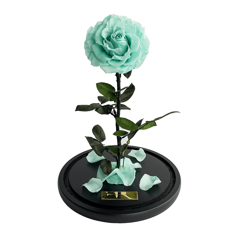 The Enchanted Rose - Mint