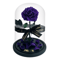 The Enchanted Rose - Purple