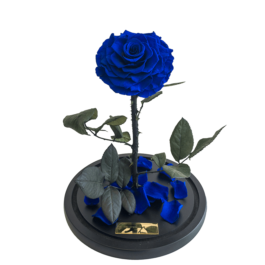 The Enchanted Rose - Royal Blue