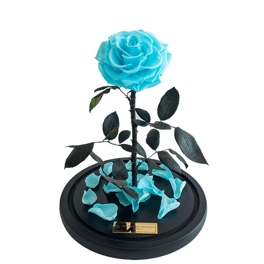 The Enchanted Rose - Tiffany Blue