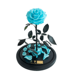 The Enchanted Rose - Tiffany Blue