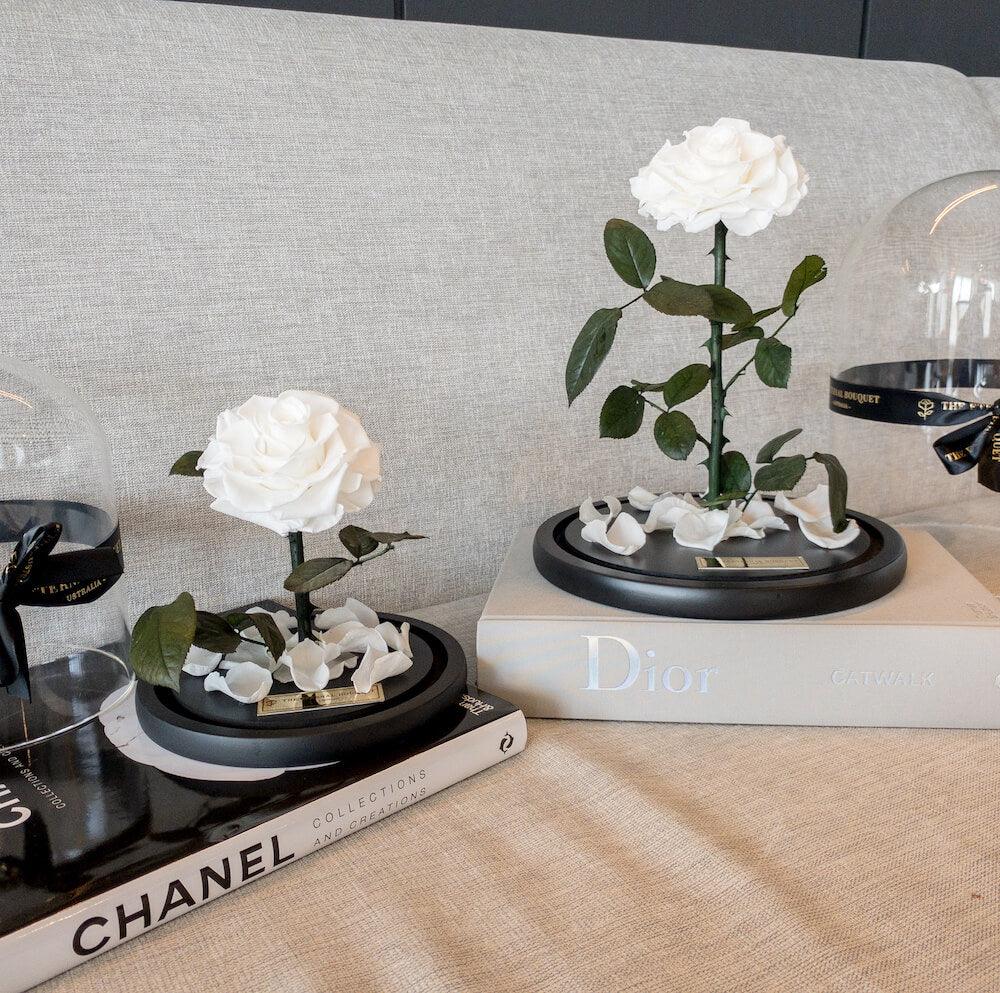 The Enchanted Rose - White