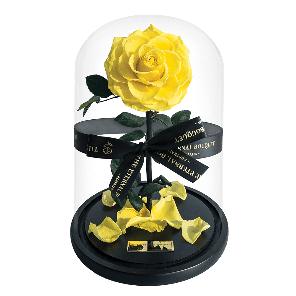 The Enchanted Rose - Yellow