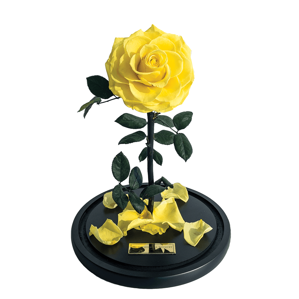 The Enchanted Rose - Yellow