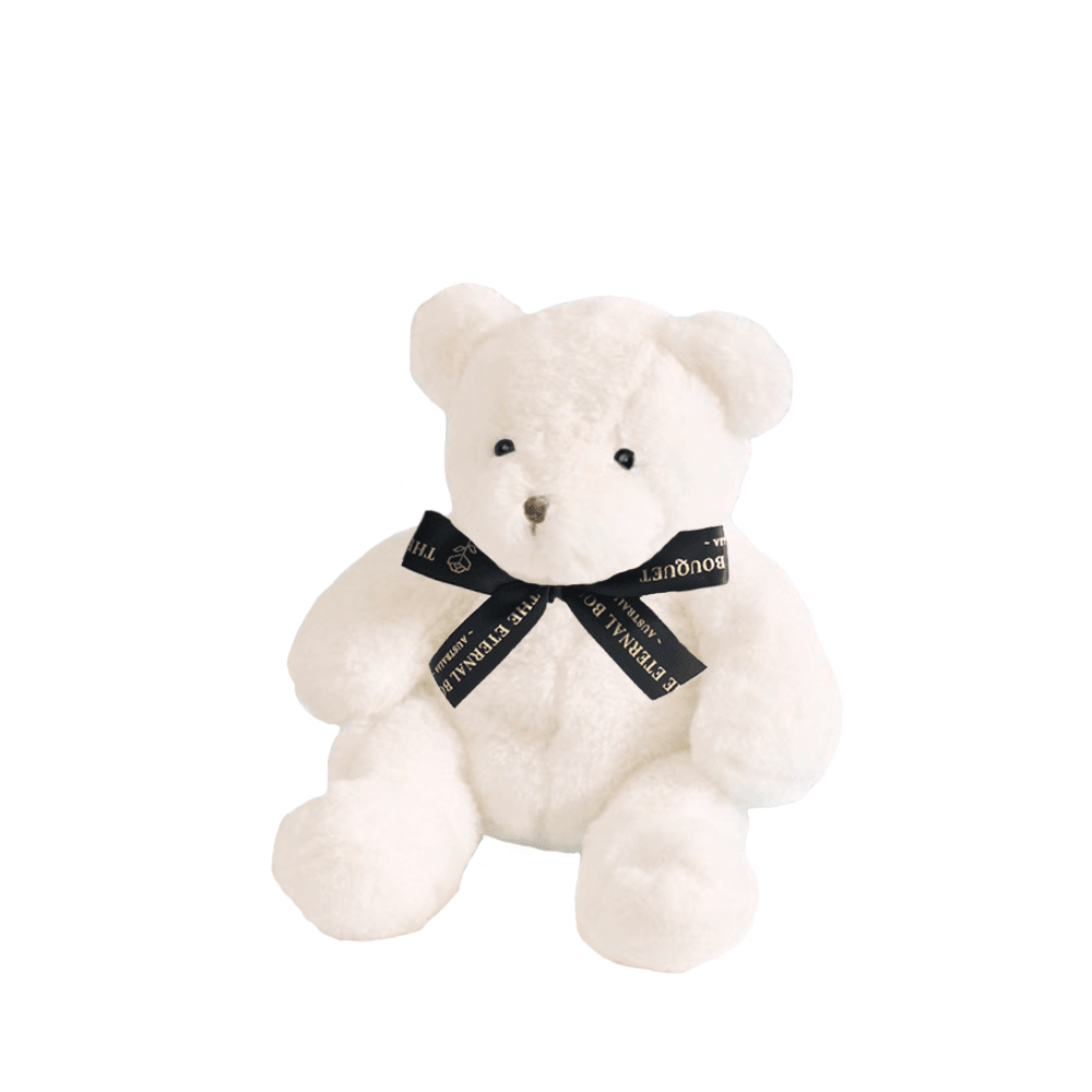 Theo Bear in White